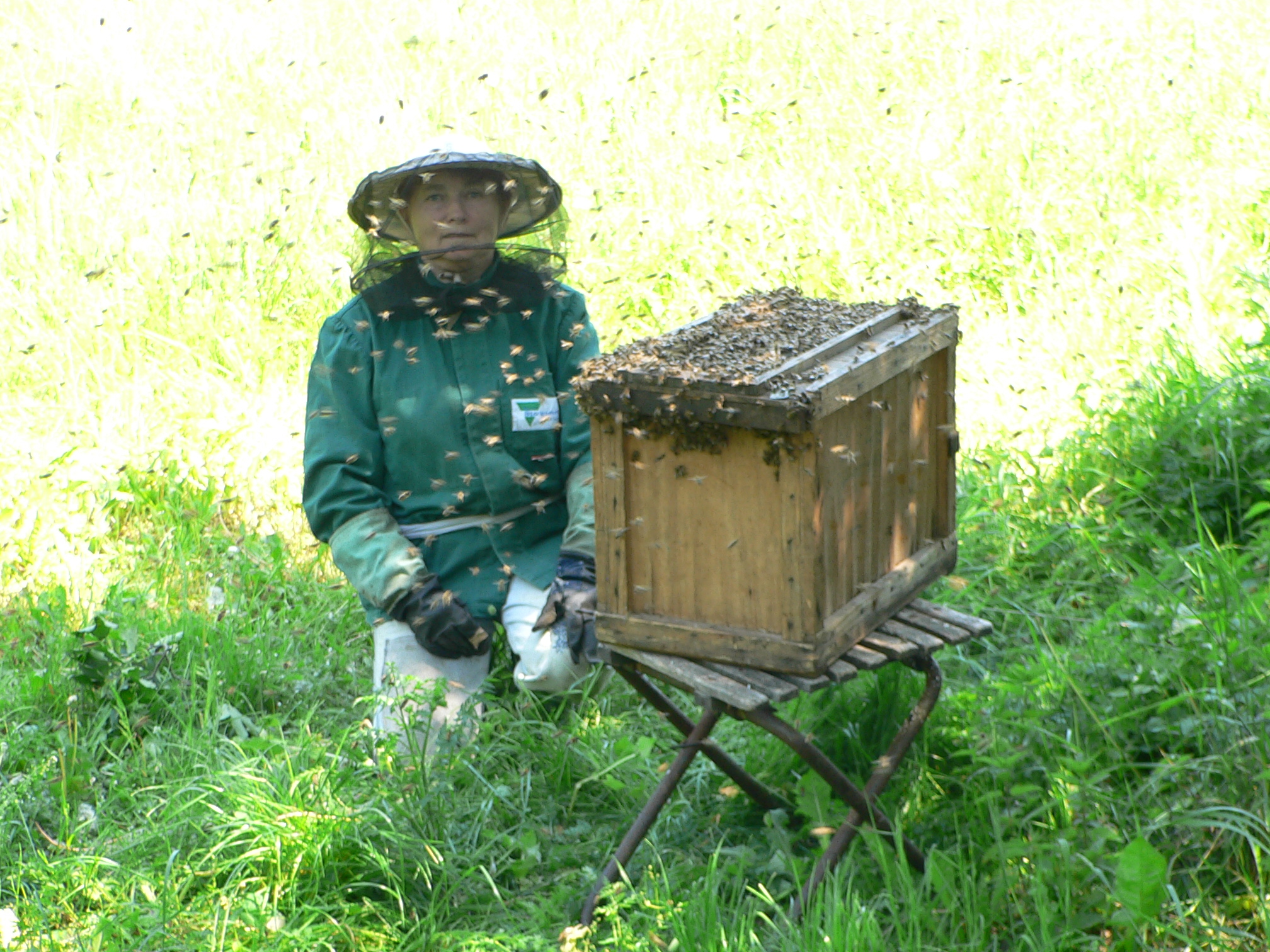 Odvážná včelařka